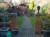 Tiny image of patio in sheffield